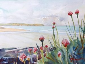Spring Sea Pinks - Woolacombe print edition from Steve PP Fine Art