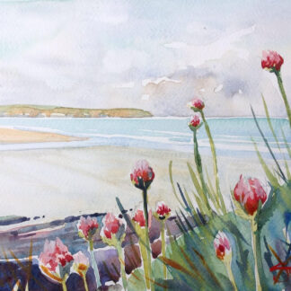 Spring Sea Pinks - Woolacombe print edition from Steve PP Fine Art