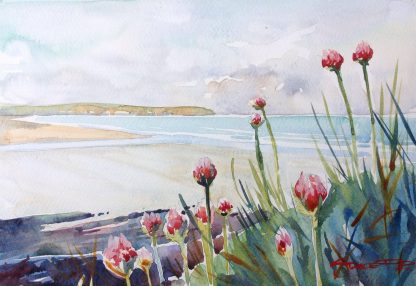 Spring Sea Pinks - Woolacombe print edition from Steve PP Fine Art