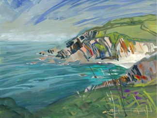 Lee Bay painting by Woolacombe artist Steve PP