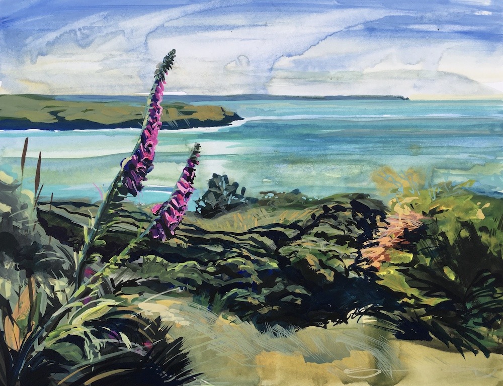 foxgloves on top of Morte Point overlooking Baggy and hartland points Gouache painting by Woolacombe artist Steve PP