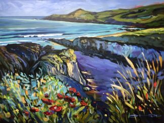 This was an early morning session at the beginning of Summer. Crisp early light, small surf running and plenty of colourful flowers and plants lining the cliffs above the beach.