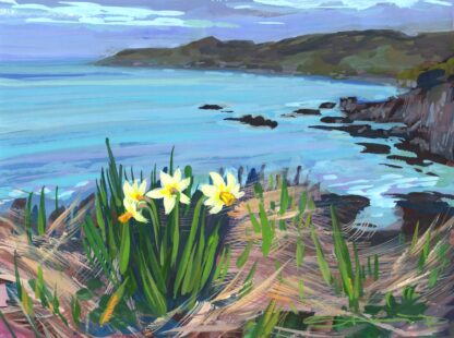 Spring Daffodils flowering on a rocky coast