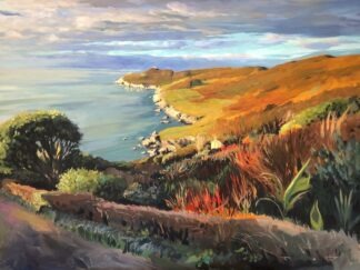 golden sunlight shining on a coastal headland with flowers and plants in the foreground