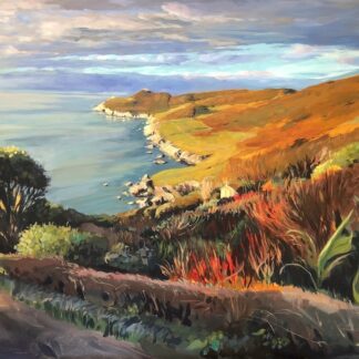 golden sunlight shining on a coastal headland with flowers and plants in the foreground. Mortehoe Woolacombe Sunset Painting.